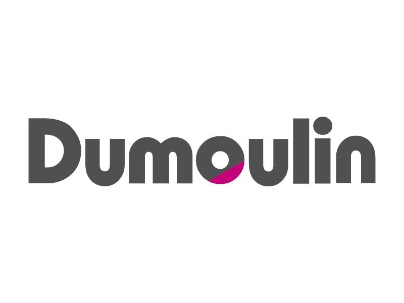 loghi_800x600-dumoulin