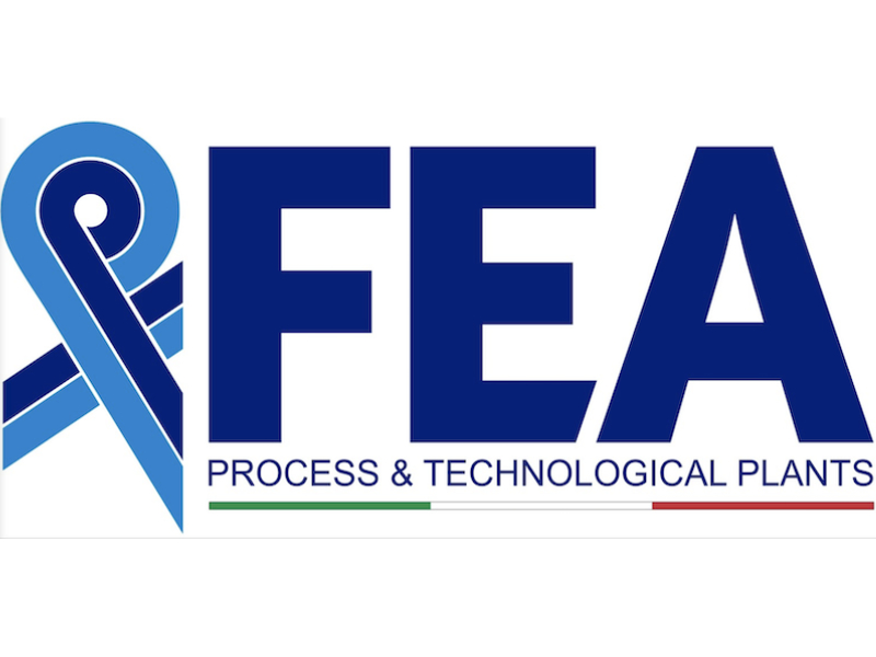 logo fea copia logo fea