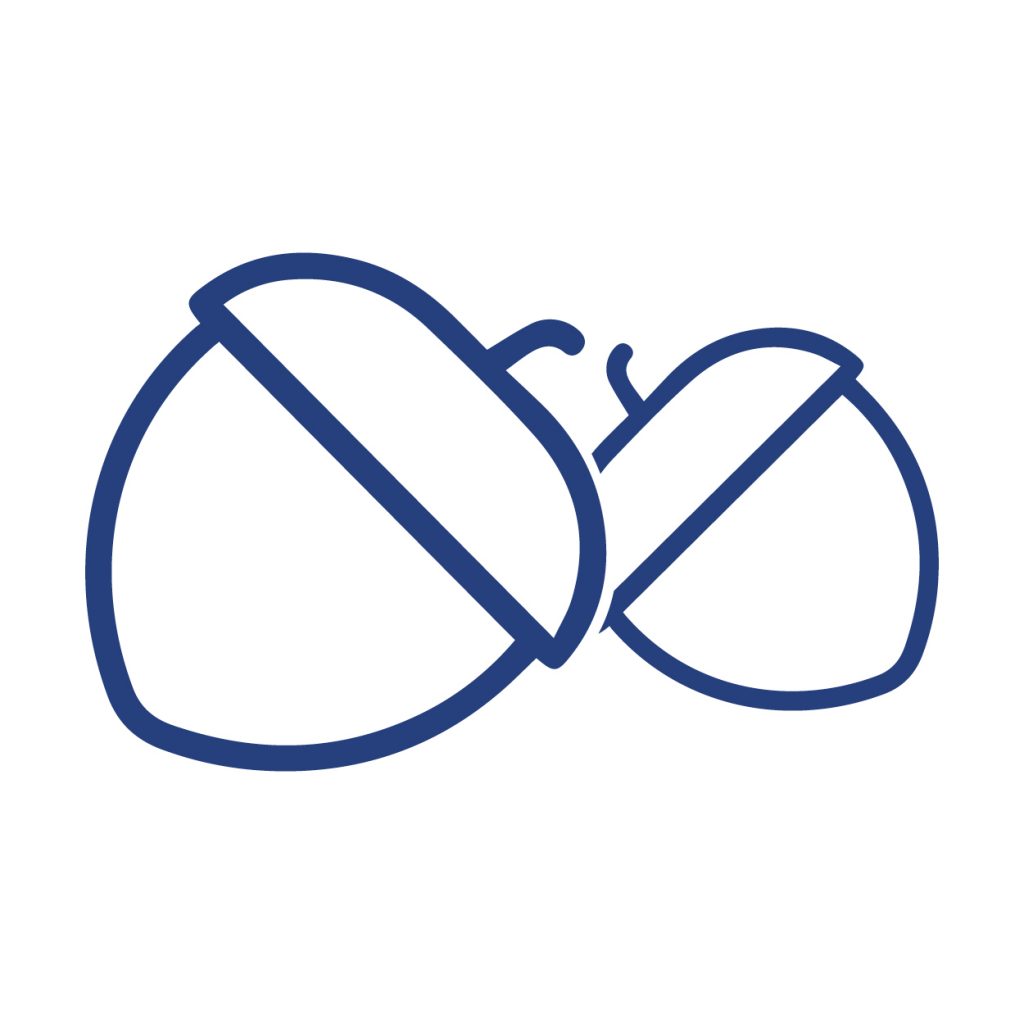 macchine processo nocciole